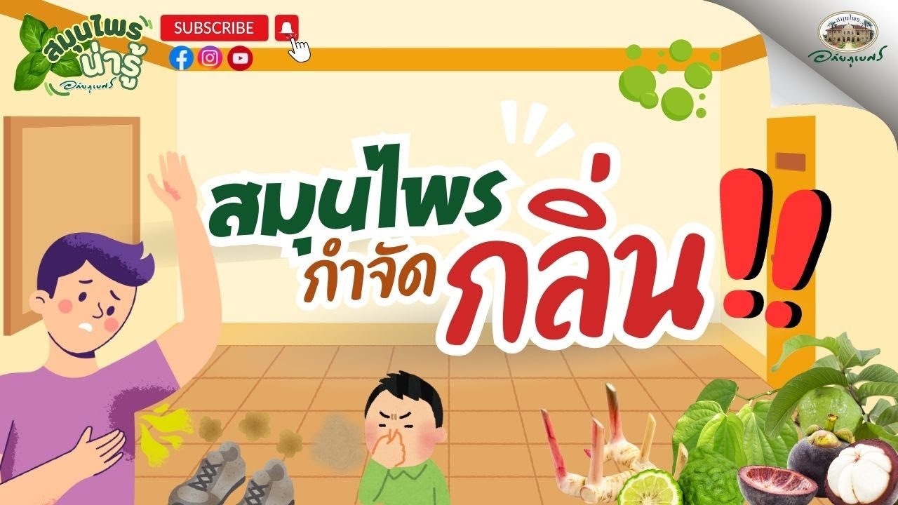 สมุนไพร กำจัดกลิ่น...ทุกชนิด l สมุนไพรน่ารู้ (2025)