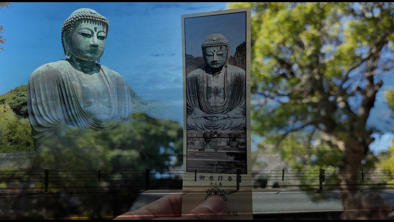 Japan Trip 2025 - Kamakura Big Buddha, Tram Ride & Peaceful Kanagawa Scenes