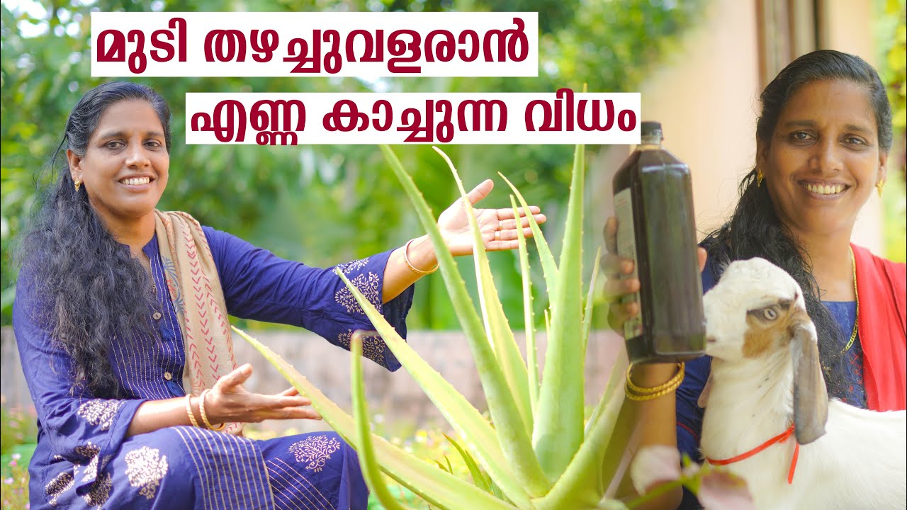 Homemade Natural Aloevera oil for Haircare | മുടി തഴച്ചുവളരാൻ കറ്റാർവാഴഎണ്ണ കാച്ചുന്ന വിധം