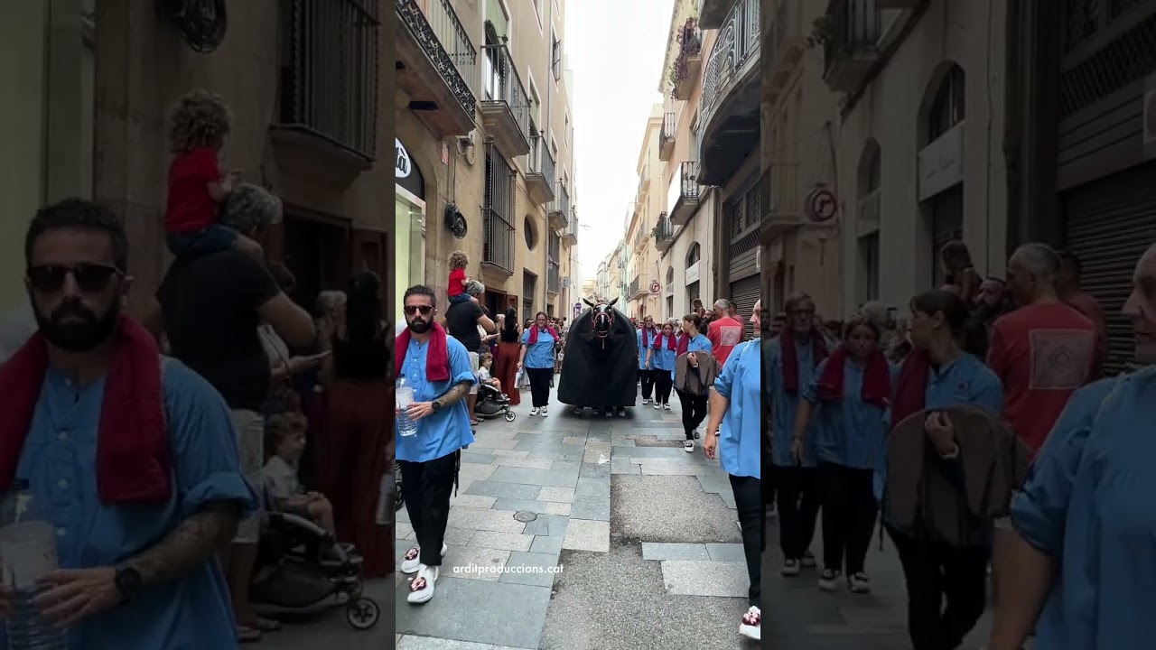 La Mulassa de Reus 300 Anys
