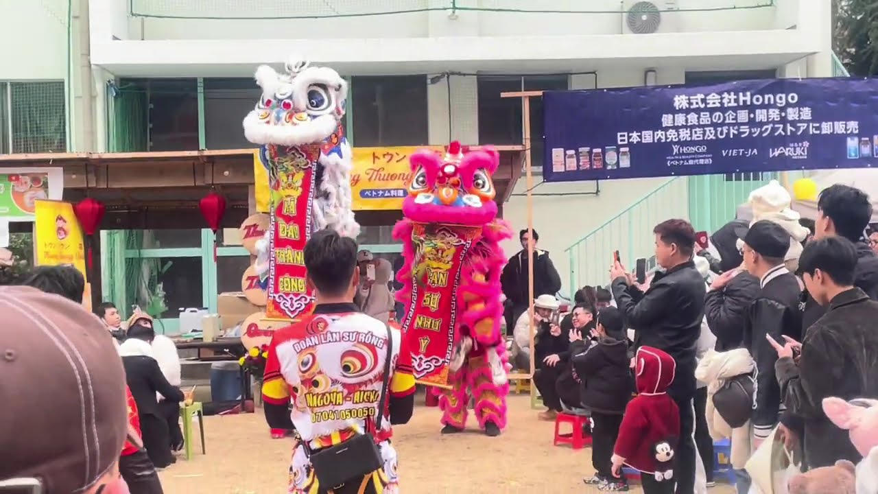 Vietnamese Festival in Japan(日本のベトナム祭り)