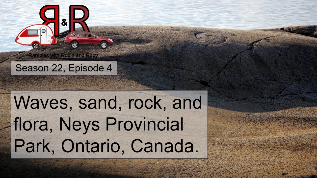 Waves, sand, rocks and Arctic Plants, Neys Provincial Park, Ontario, Canada