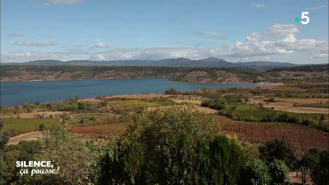 Paysage : Le Lac du Salagou - Silence, ça pousse !