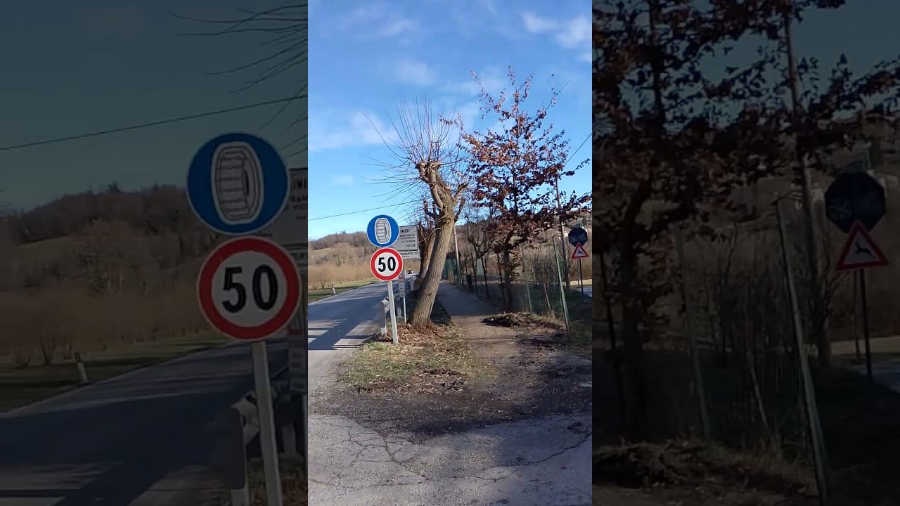 Treinando para fazer o caminho de Santiago 🙏🏼(1° parte)