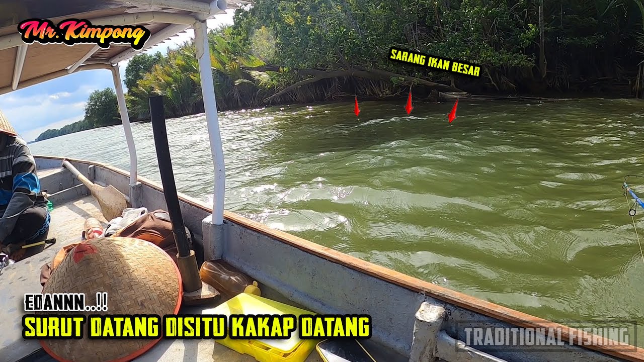 AWALNYA DI HANTAM ROMBONGAN KERAPU, TAPI BEGITU SURUT DATANG.. Ngeriii isinya