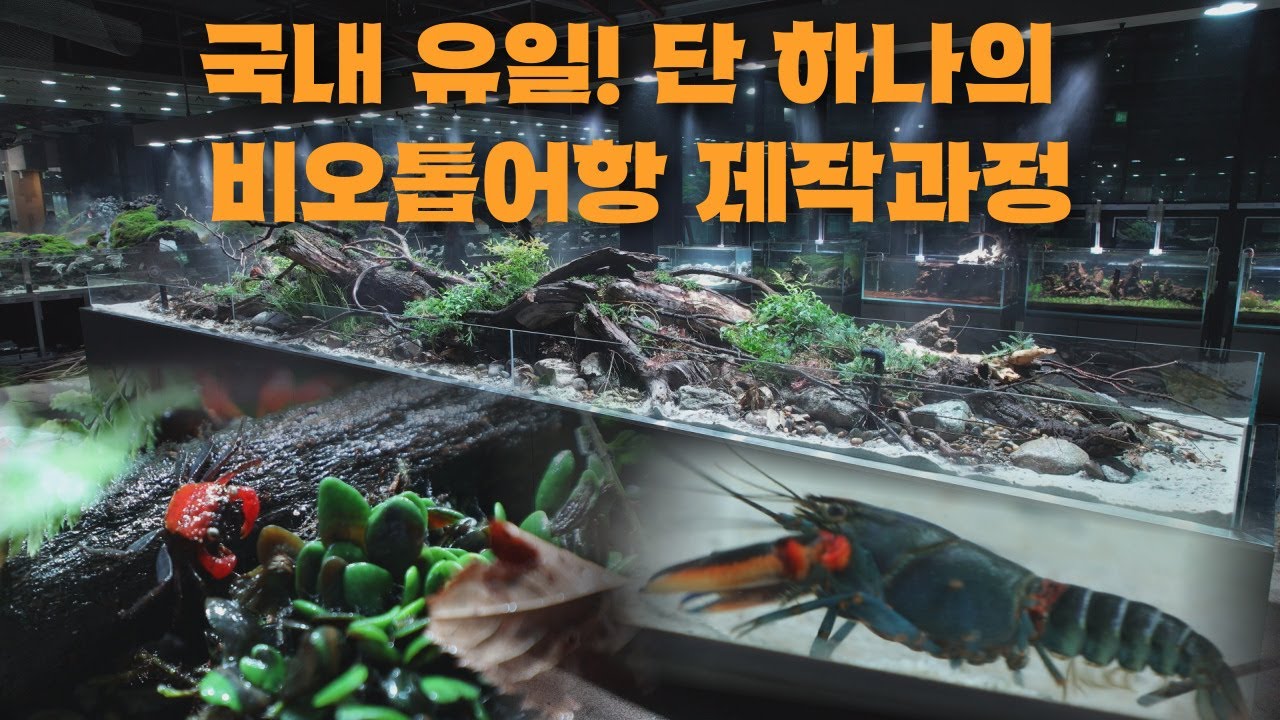 대한민국에 단~하나! 비오톱어항 제작과정 공개#아쿠아가든#아쿠아카페#테라리움#aquagarden#aquascape#aqua#aquarium#아쿠아가든일산점#비오톱#biotope