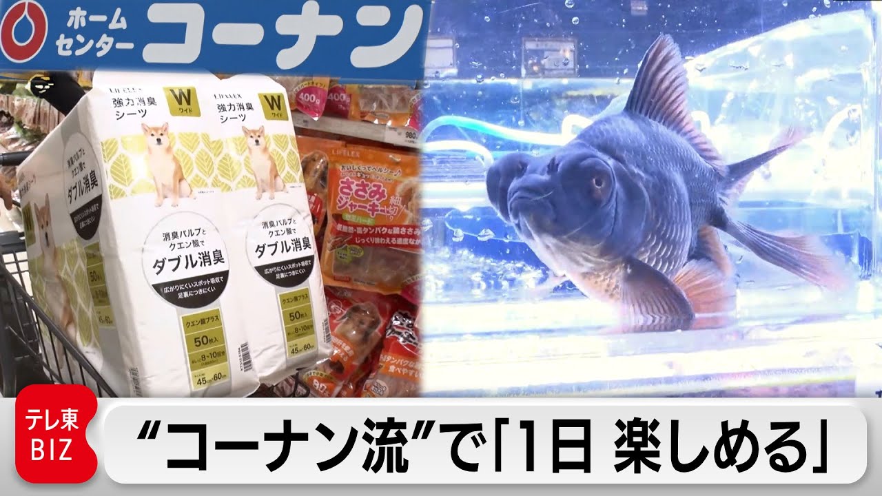 “コーナンサイズ”からプライベートブランドまで「なんでも揃う」ホームセンター“コーナン”【カンブリア宮殿】