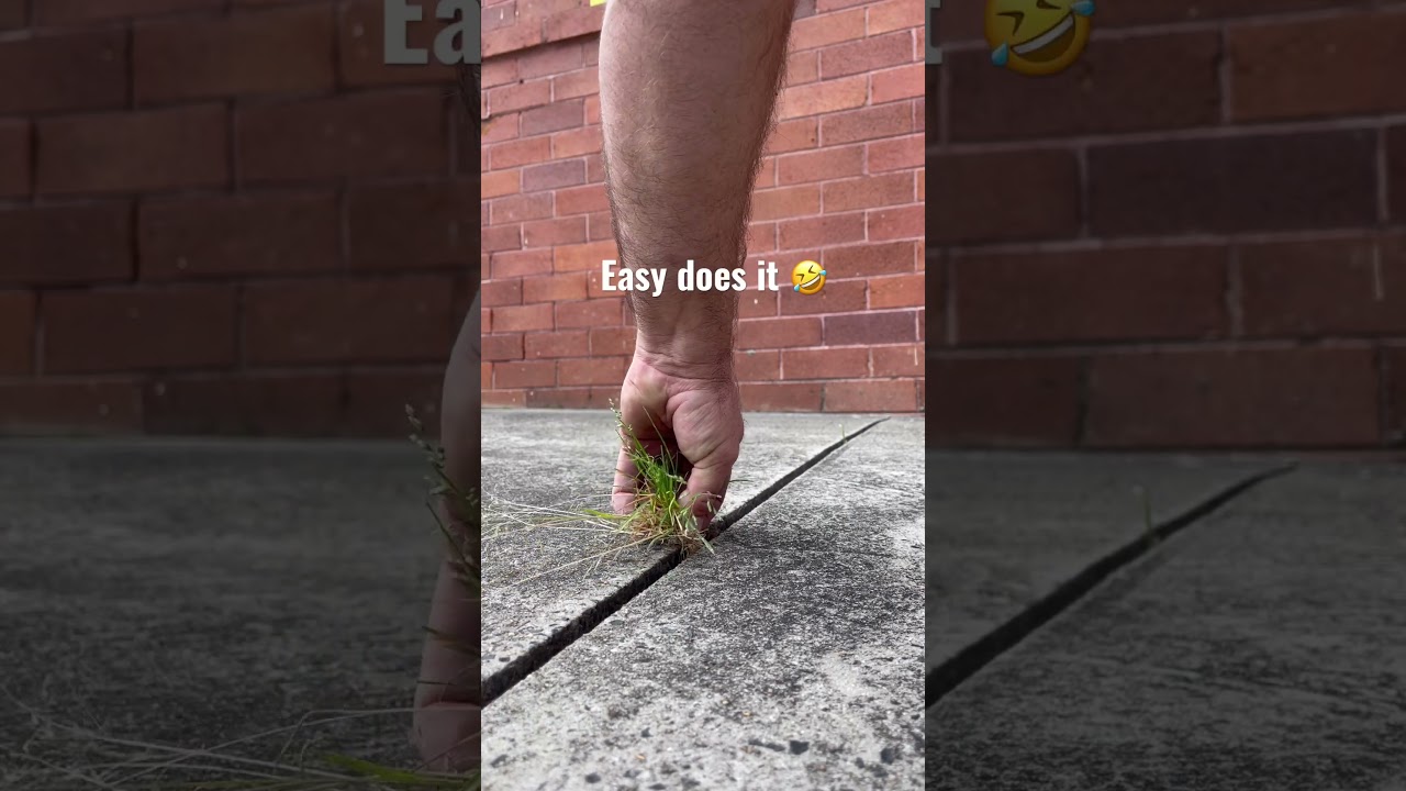 Weed Pulling Don&rsquo;t Rush #satisfying #weed #pulling