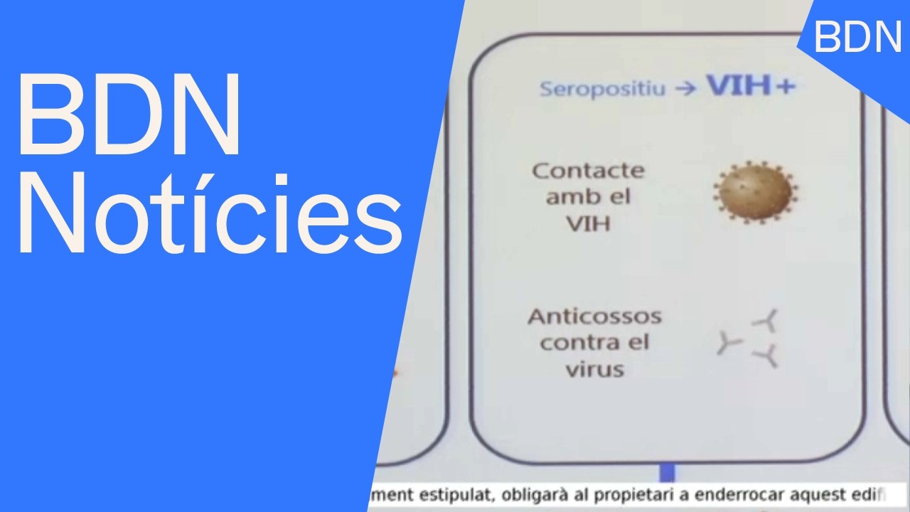 BDN Notícies Migdia 3 de febrer de 2026