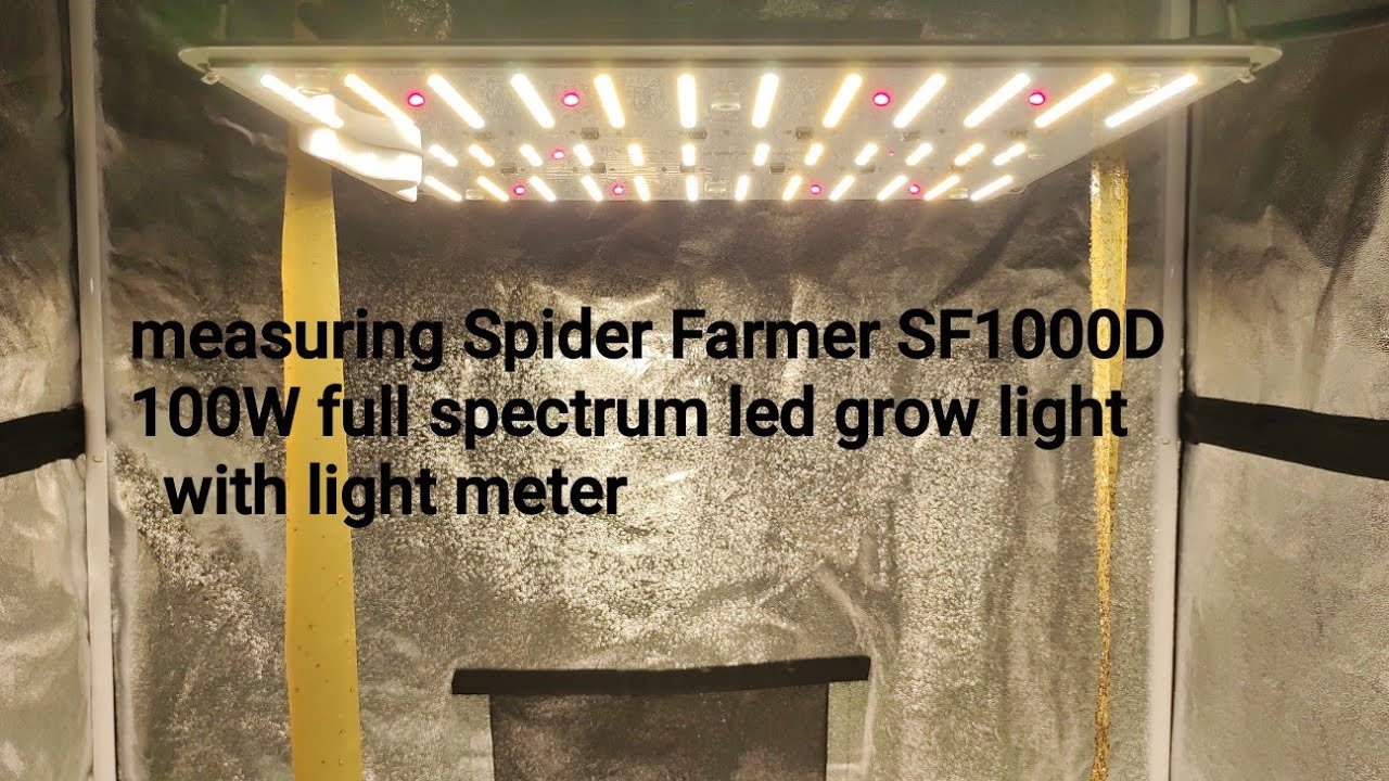 Measuring lux level of Spider farmer sf1000d full spectrum 100w led grow light in 1m&times;1m grow tent. 