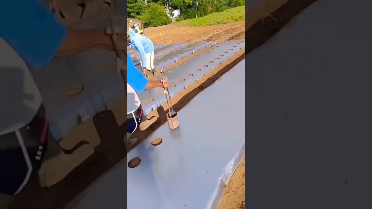 #short #agriculture #agritools#farming2024  #youtubeshorts #EliteShortsUnleashed #1681