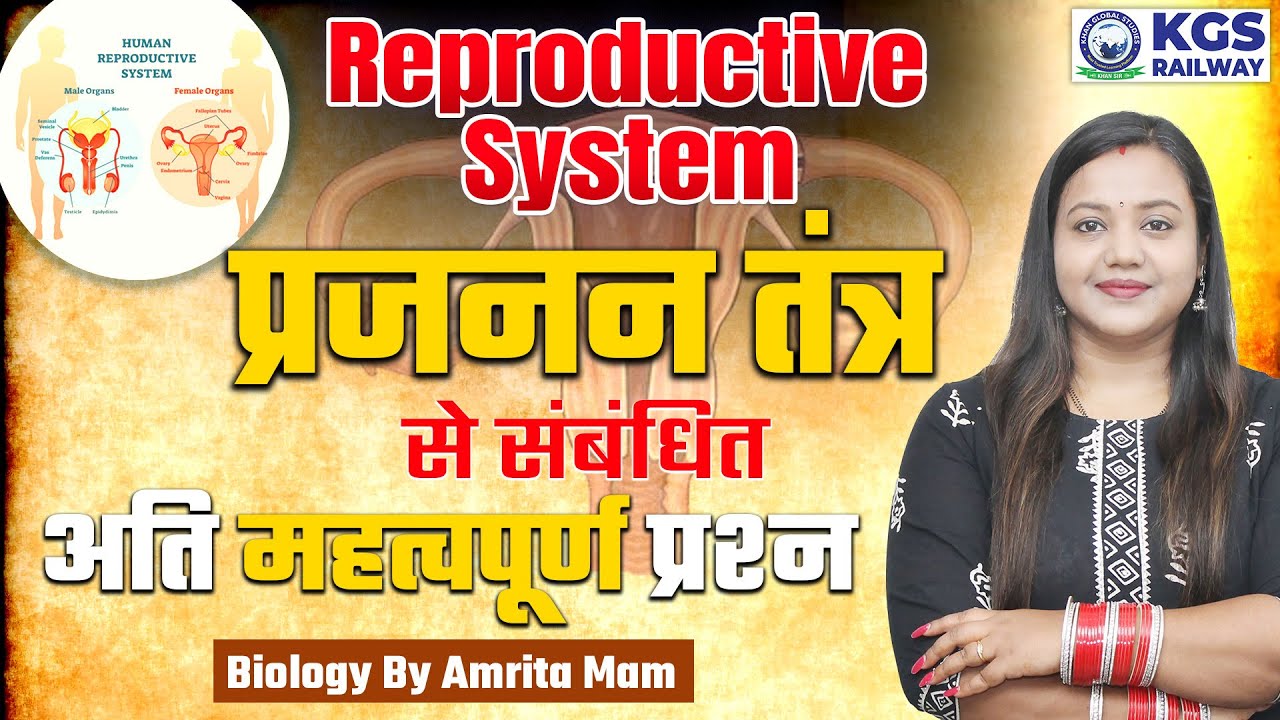Reproductive System | Reproductive System Most Important Questions  | Biology By Amrita Ma'am KGS
