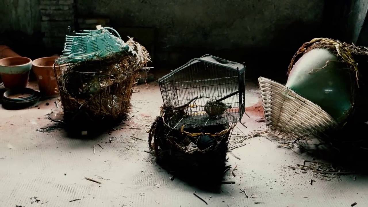 WE360 URBEX PIEMONTE: Il Collegio Abbandonato