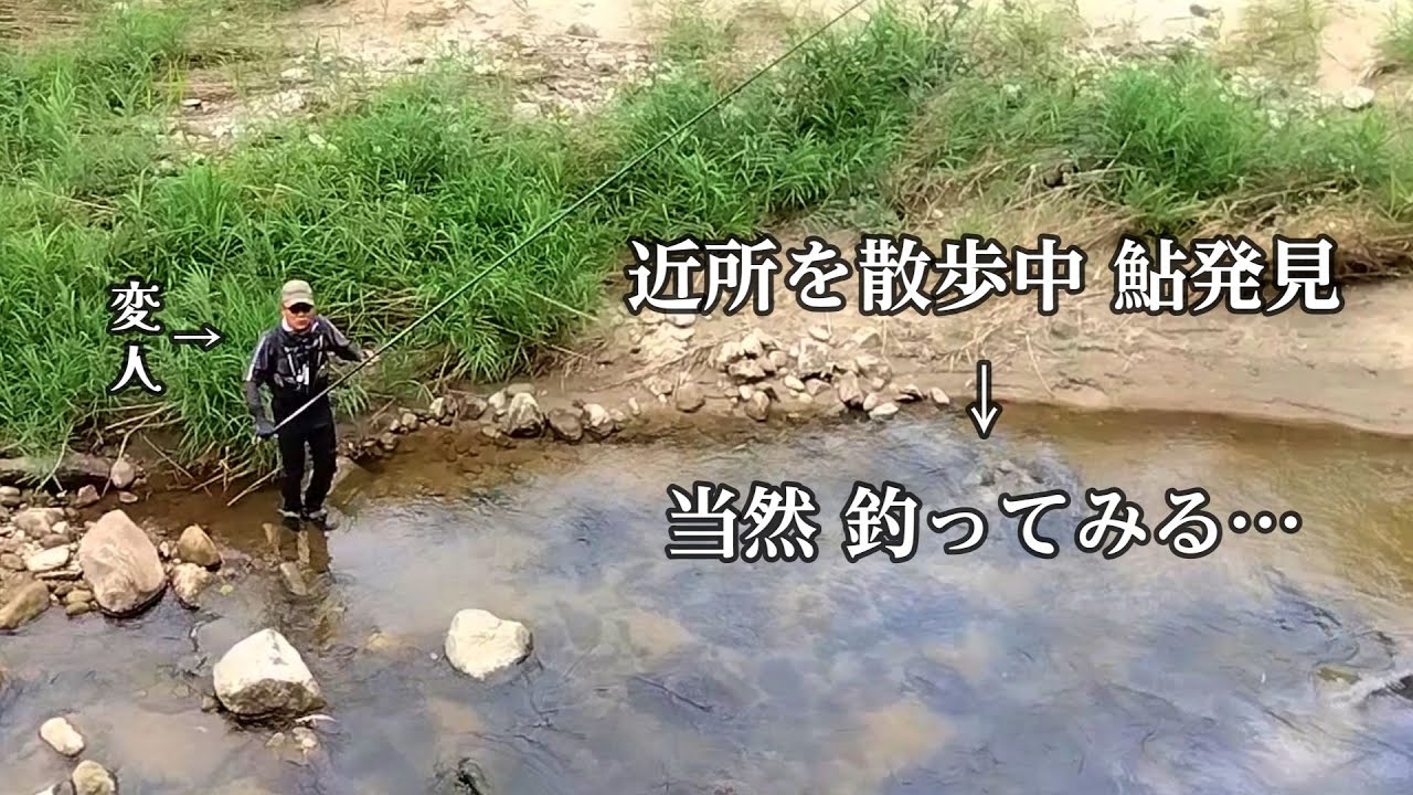 鮎釣り　近所の小川で泣きの一回。