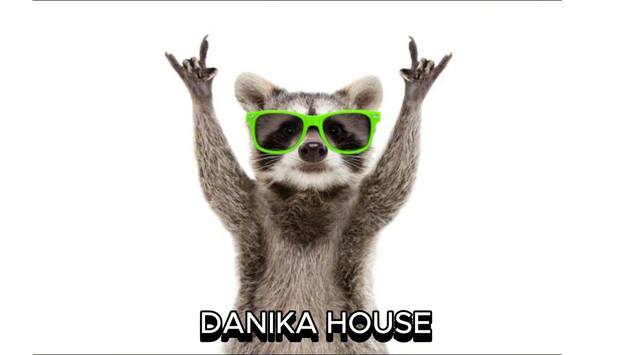 Danika House + Bass