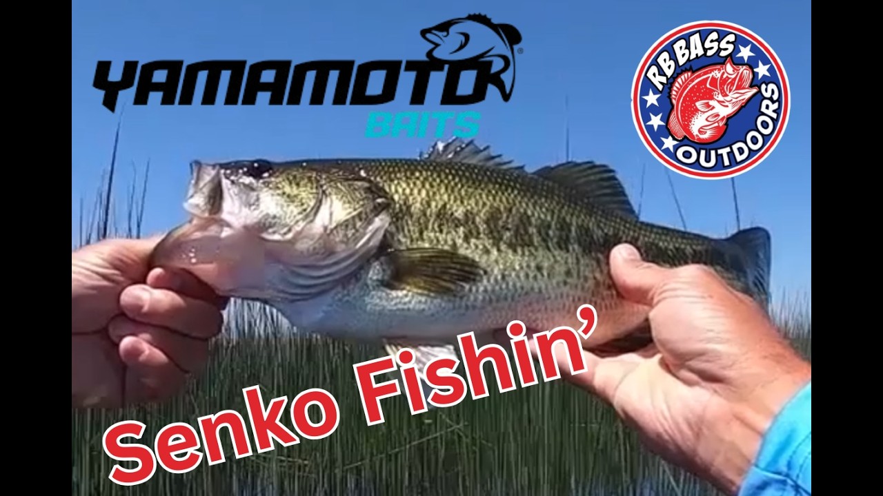 Steve-o's favorite bait