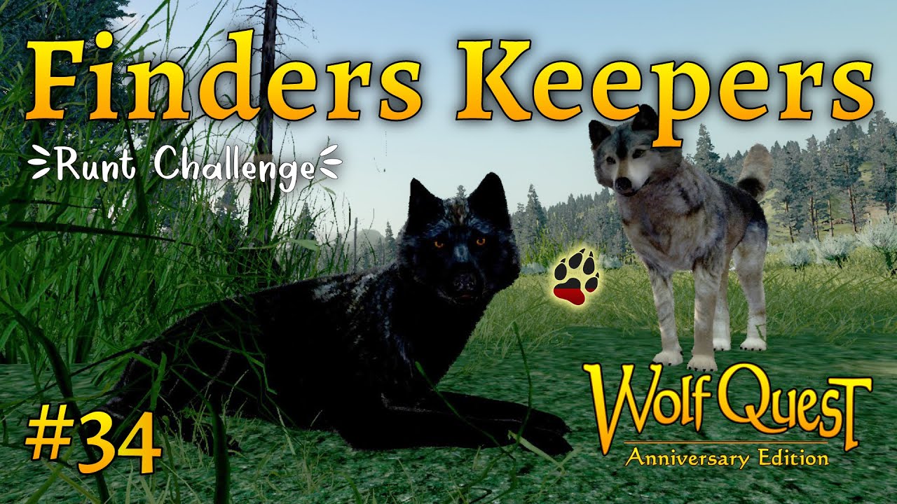 Can the Pack Survive? 💔 From Growing Pups to Young Hunters – Twilight & The Finders Keepers #34