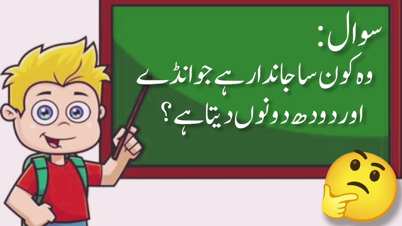 Paheliyan part 06|funny sawal jawab|Amazing answer and question in Urdu