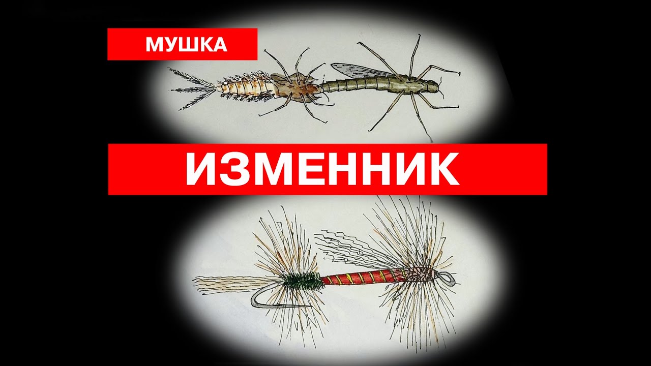 Мушка 