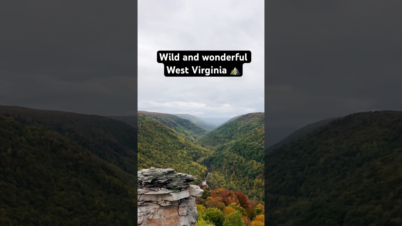 Davis, WV trip - sneak peak #nature #animals #nature #scenery #travel