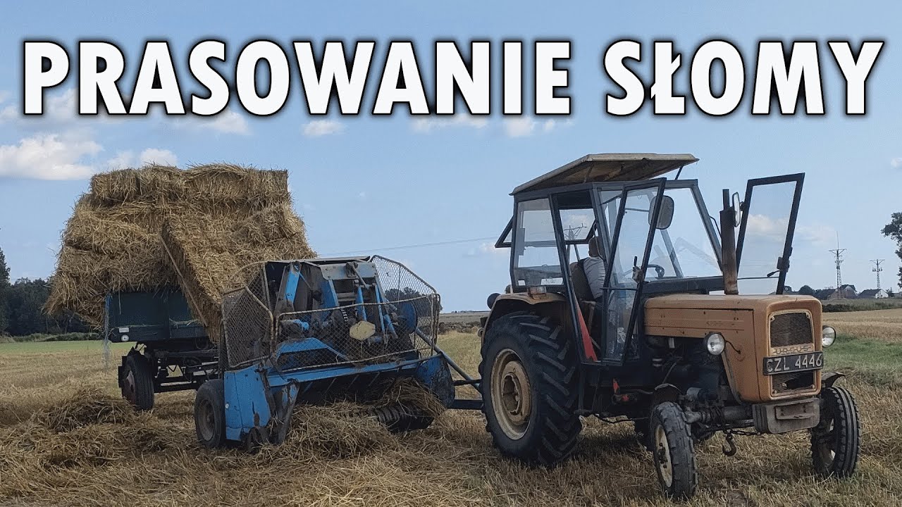 Prasowanie słomy prasą Fortshritt K-442 🔥 Ursus C-360 w akcji!