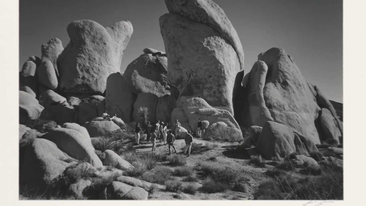 Ansel Adams' Zone System: Joshua Tree