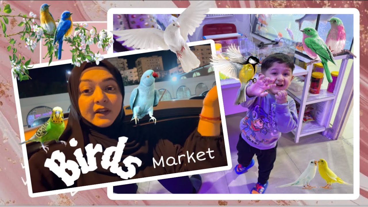 Sharjah Birds Market | Sharjah Pet Market | Birds And Animals | Noorulain Nureeh