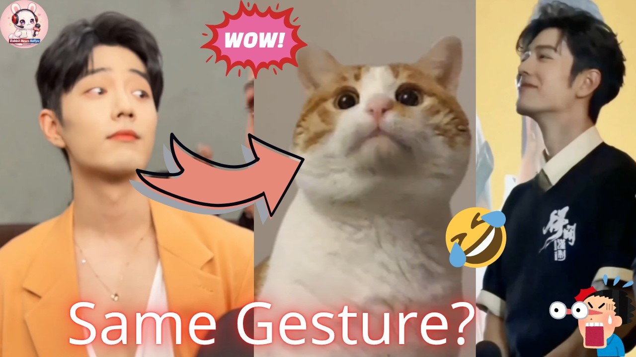 Fans notice Xiao Zhan&rsquo;s greeting resembles viral &ldquo;Oi Cat&rdquo; meme