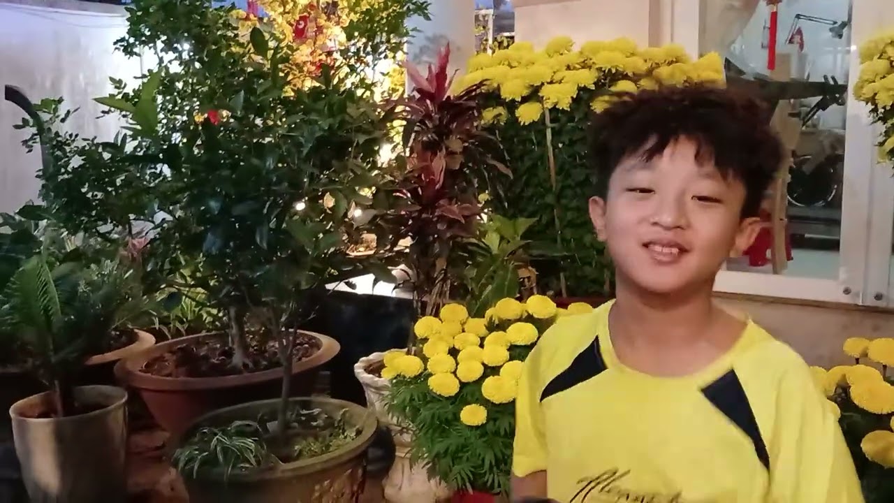 Tết 2026