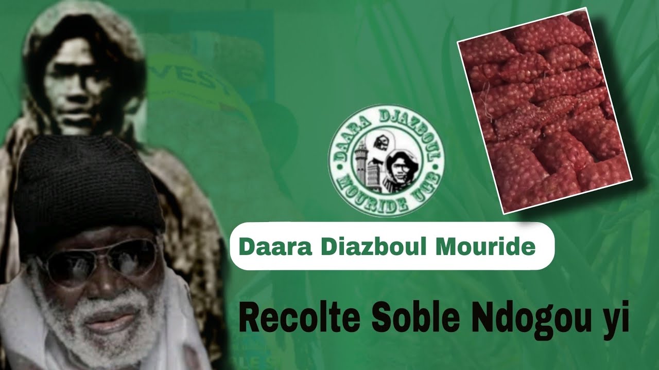 RCOLTE SOBLE NDOGOU YI 2026 Daara Djazboul Mouride 