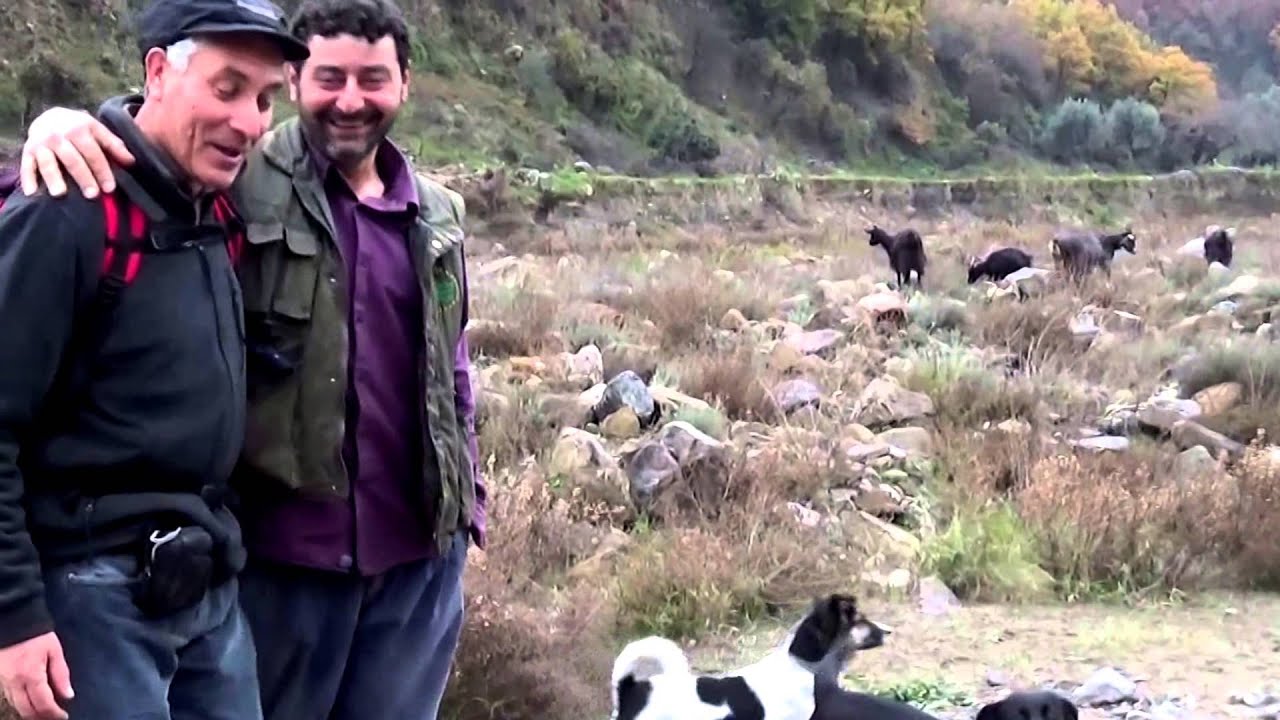 Transumanza- -Calabria-Sila ..Escursione In Sila Greca.