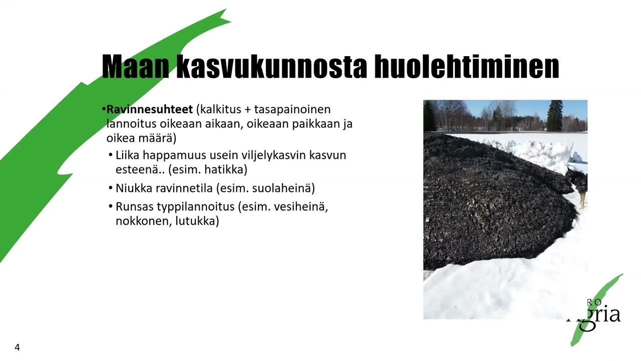Rikkakasvit haltuun ilman kemikaaleja