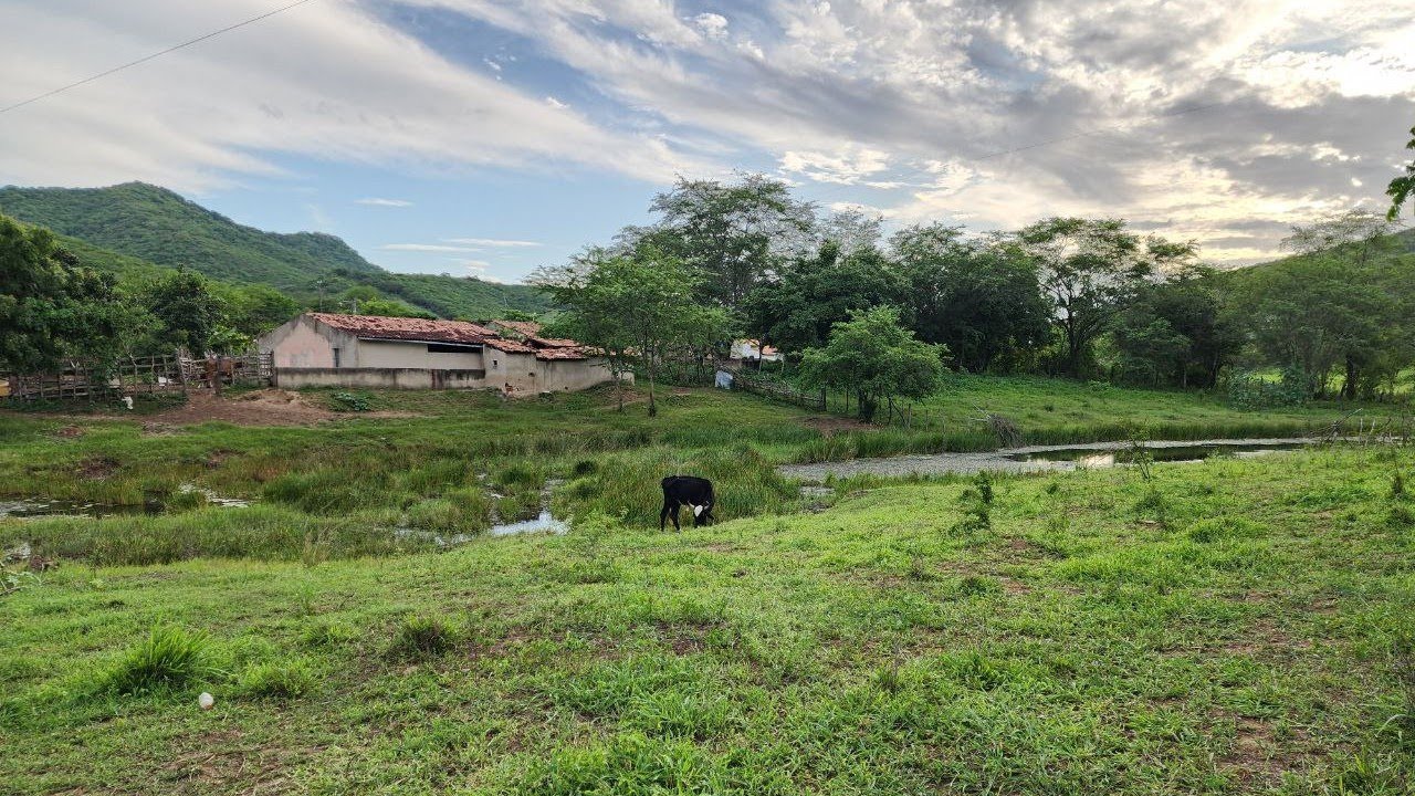 SÍTIO À VENDA EM CUMARU PERNAMBUCO POR 110 MIL REAIS