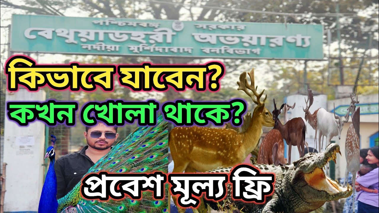 Bethuadahari Forest Nadia || One Day Tour Near Kolkata || Bethuadahari Wildlife Sanctuary ||