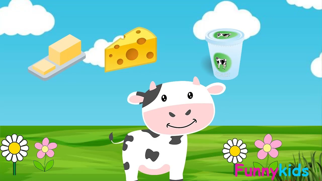 Las vacas// Características de las vacas para niños+