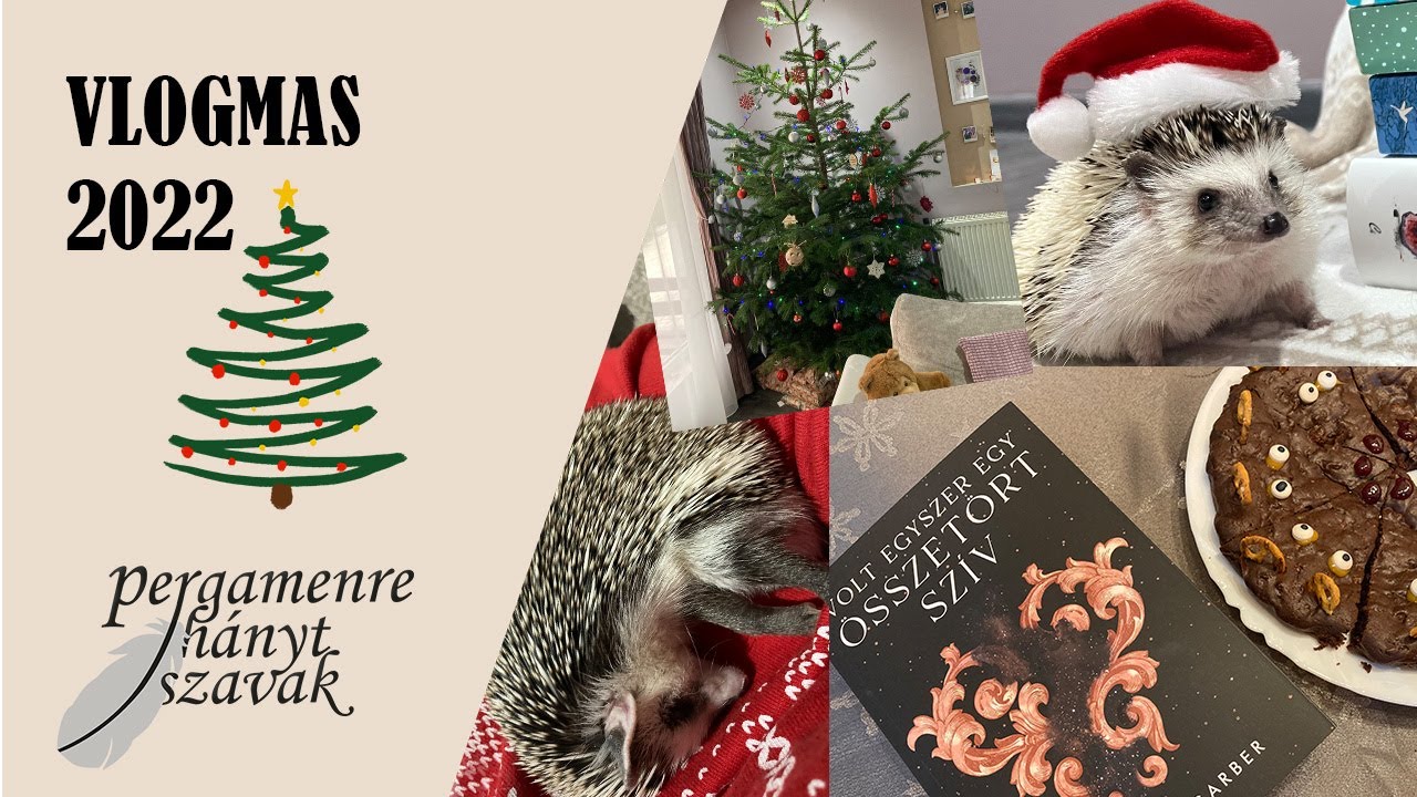 🎄 VLOGMAS + sünik 🦔 | Pergamenre hányt szavak