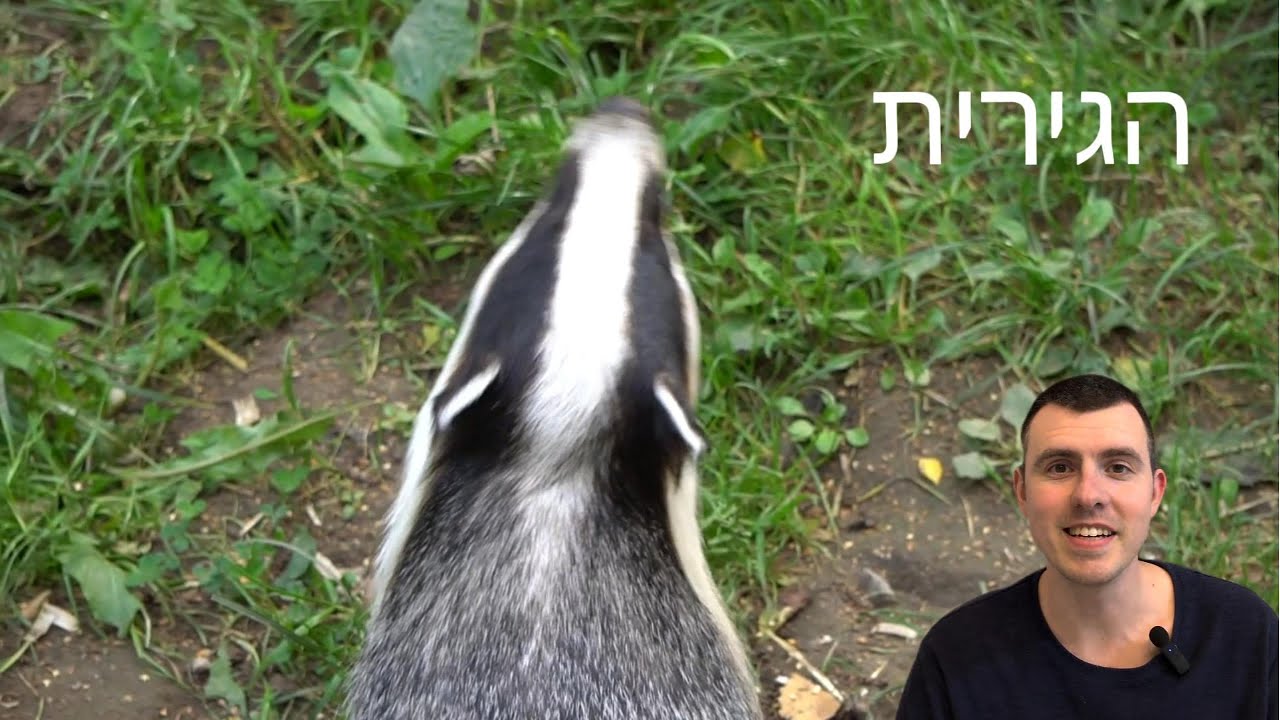 הגירית - היצור הכי אמיץ והכי קשוח שתפגשו(גם בישראל) | פרק 6