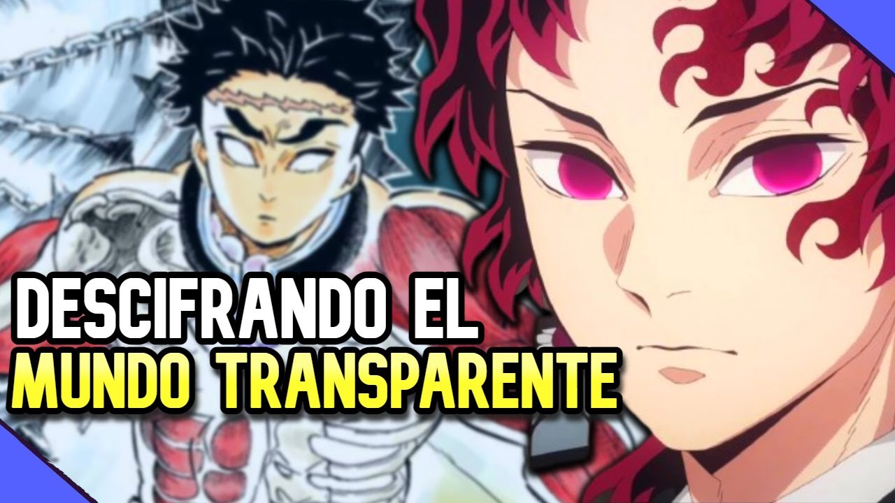 ¿ Que es realmente la visión del mundo transparente y cómo funciona ?
