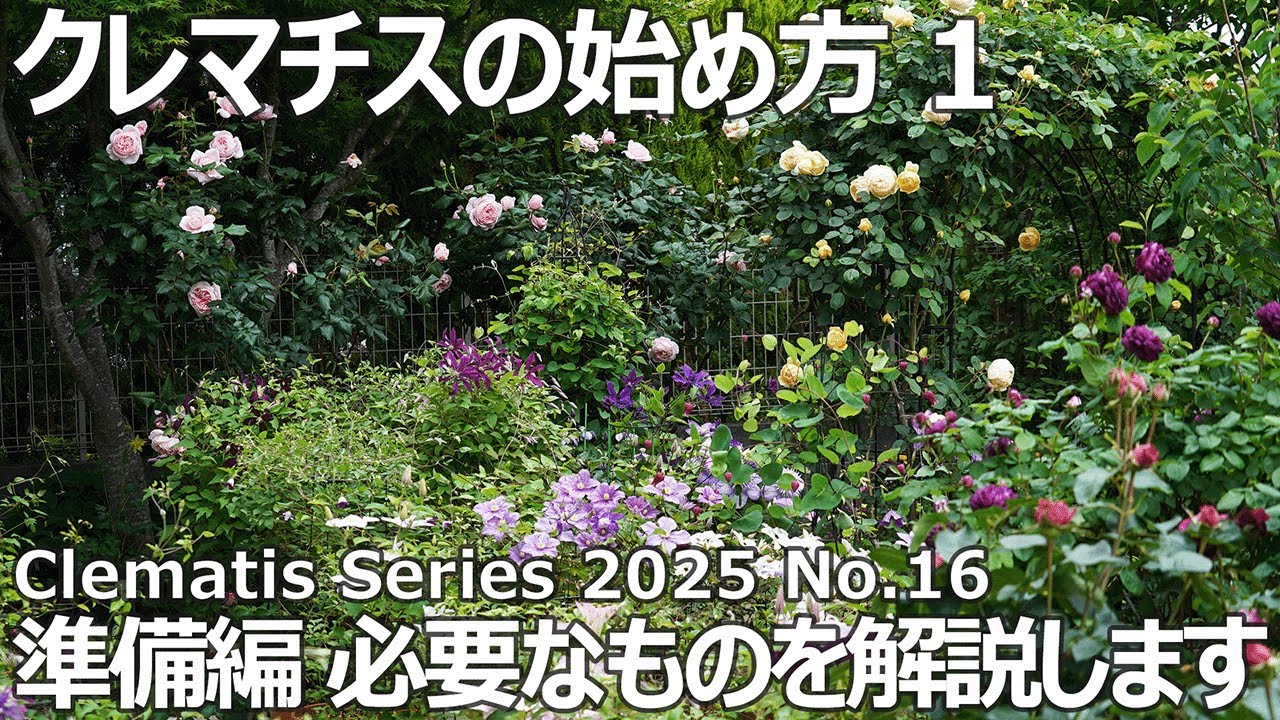 【クレマチスシリーズ 2025 No.16】これからクレマチスを始める方へ 準備編| 湘南クレマチス園の苗 | 苗の紹介 |　培養土　| 元肥・石灰・ゼオライト | 肥料 | 薬剤 | ポット