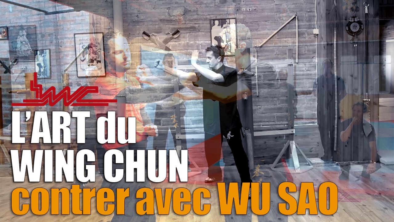 Acad&eacute;mie de Wing Chun Kung Fu Toulouse : CONTRER &agrave; courte distance avec WU SAO