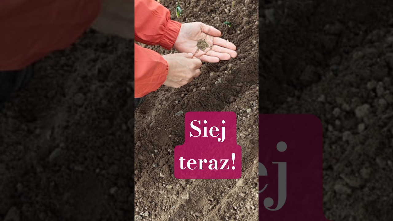 What to sow in MARCH? 🌱 List of plants for the ground and for seedlings! #shorts
