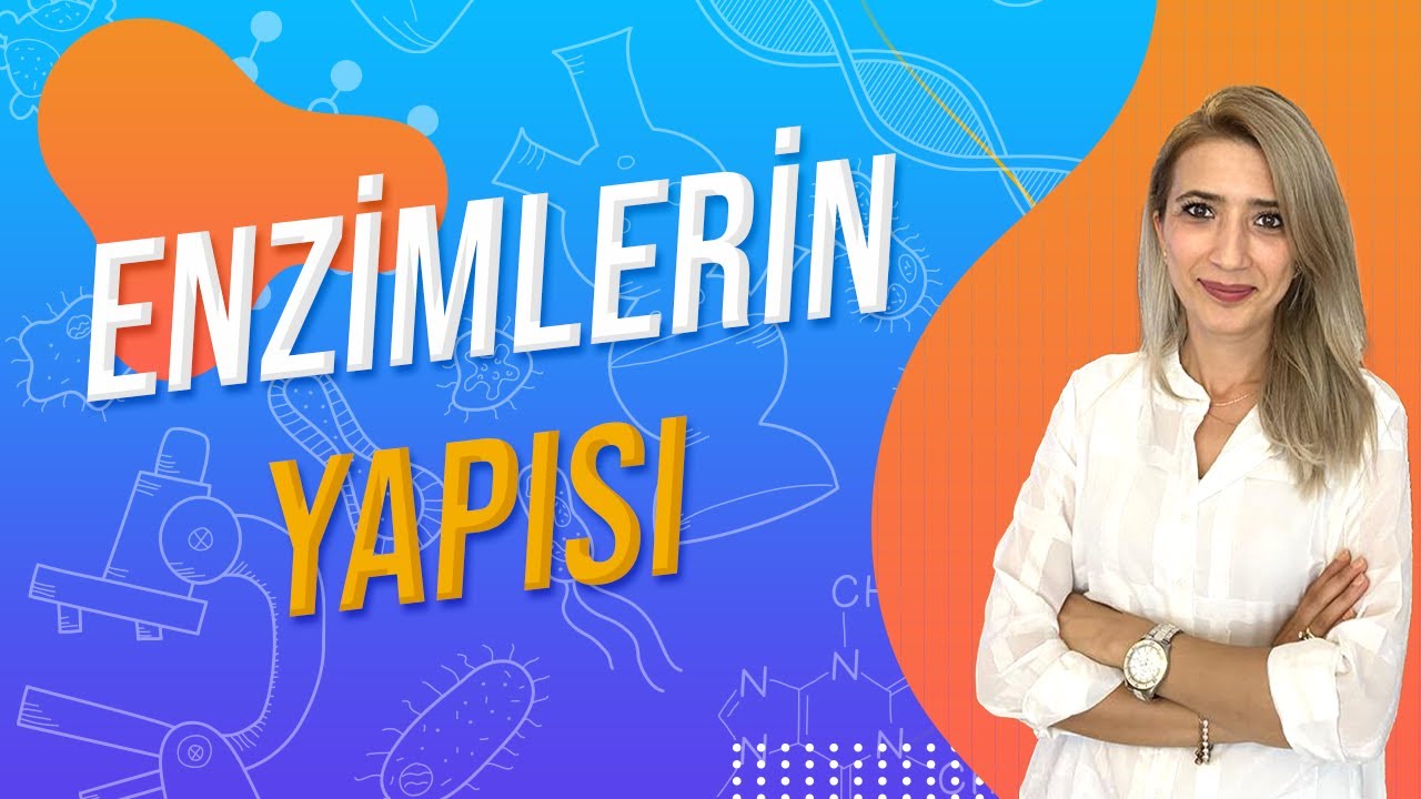 (8.DERS) ENZİMLERİN YAPISI |  TYT 9.SINIF l Seda Hoca Biyoloji 🤗