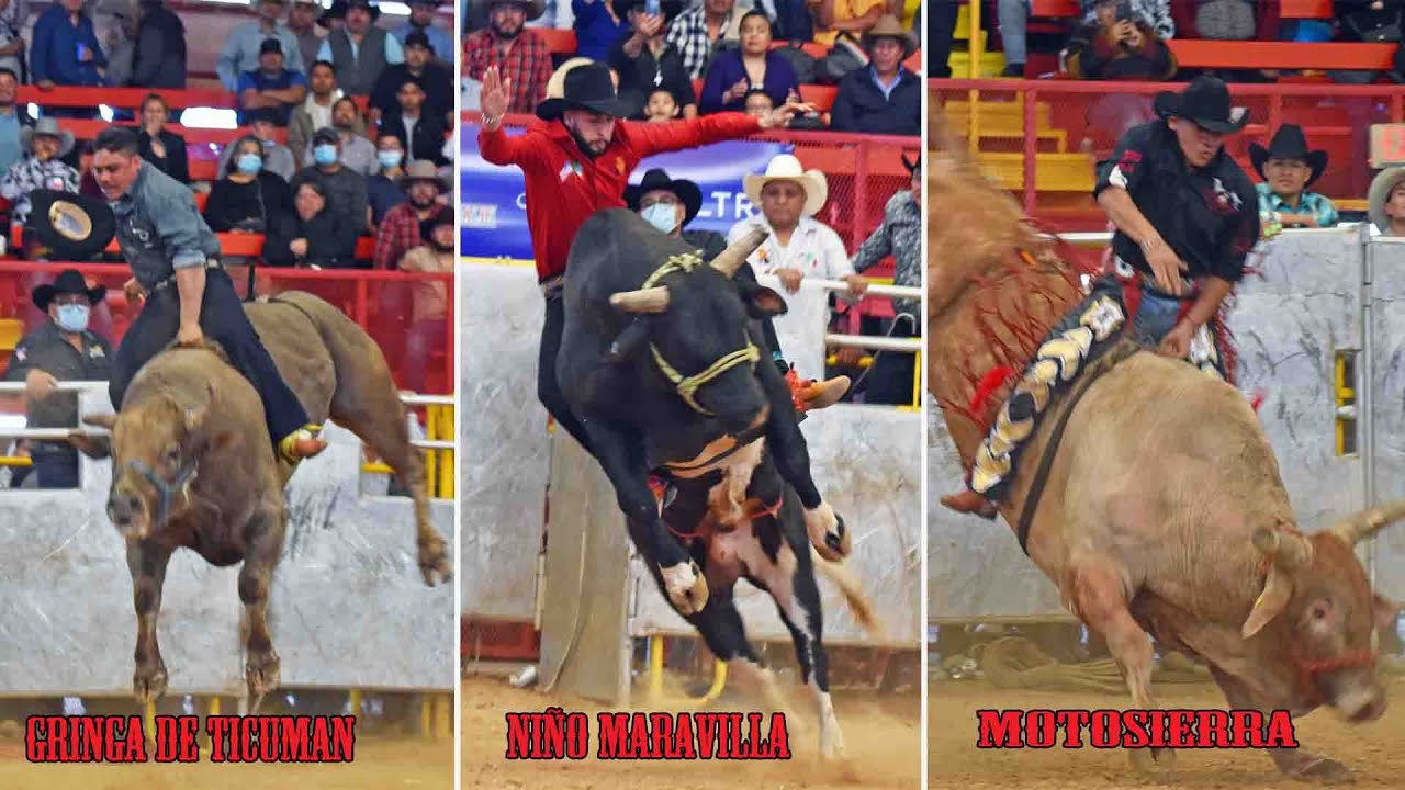 LOS MEJORES JINETES Y TOROS DE USA !! Torneo Nacional de Toros de Reparos Houston Texas 2021