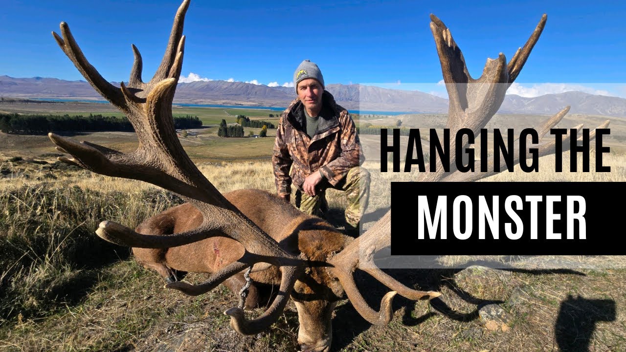 Hanging my New Zealand Red Stag: An Unboxing and Hanging the Monster
