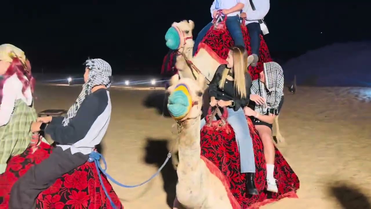 Dubai Camels 🇦🇪