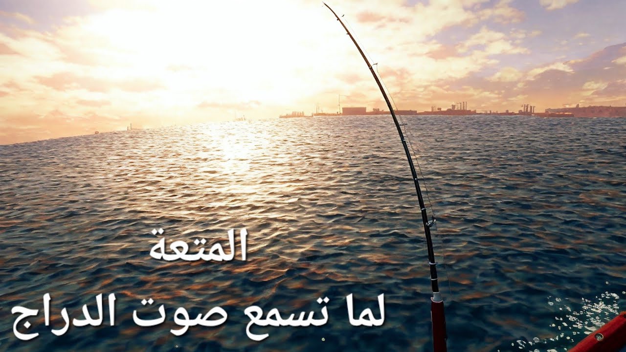 تجربة التشخيط بالريش المحلي ومتعة الجيقنق #سمك #صيد_السمك #fishing #بحر #kayak #لفاح #fish #الامارات