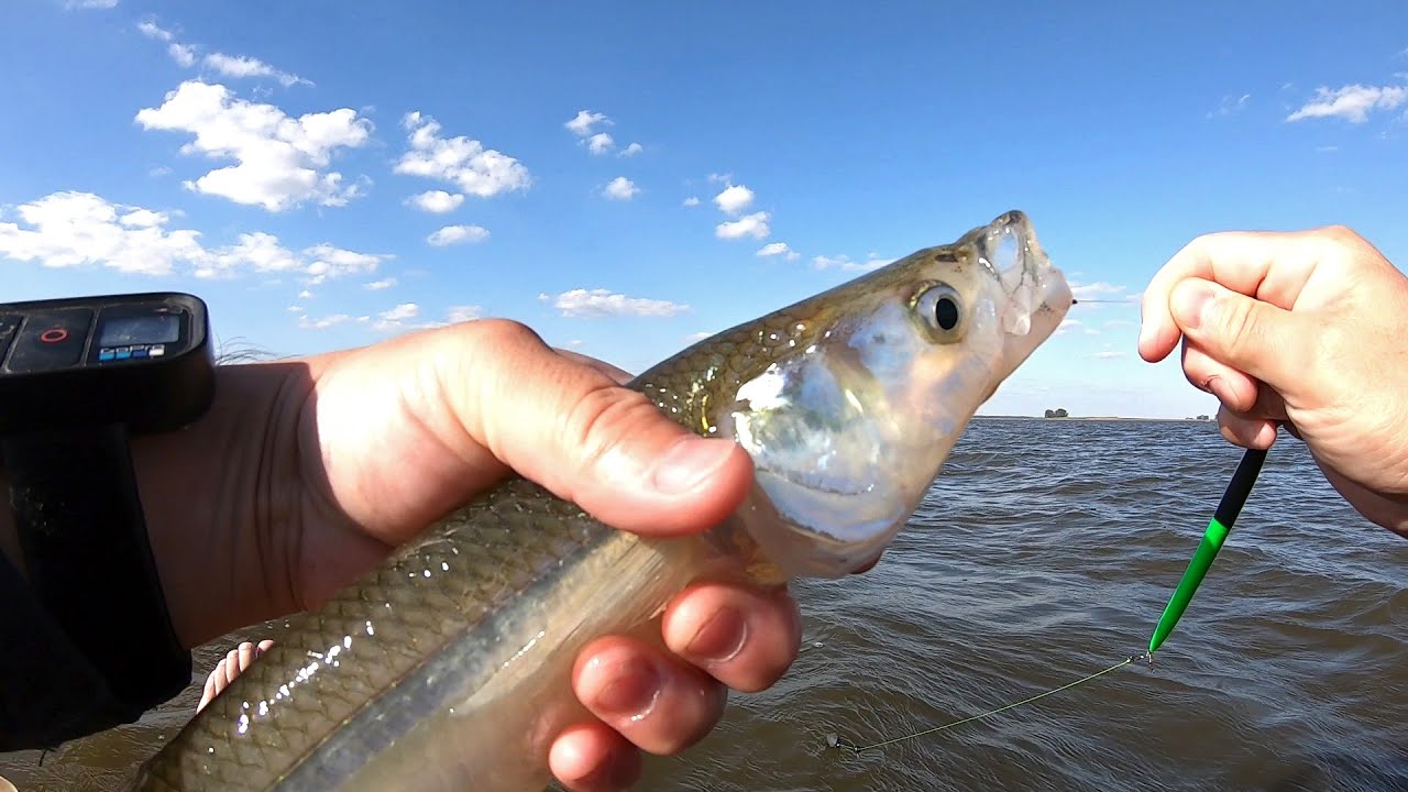 ARRANCARON LOS PEJES! en esta Laguna y Prueba de KAYAK a Motor