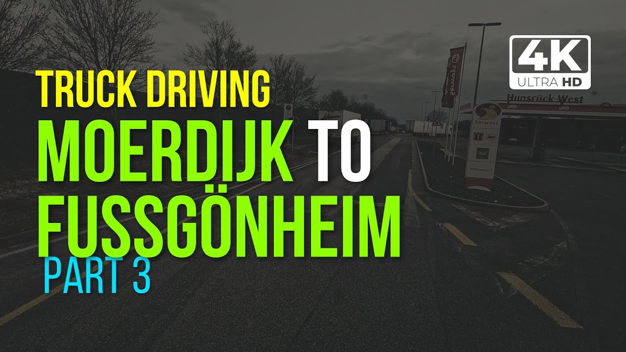 [Part3] Truck Driving, Cabin View - Moerdijk NL to Fußgönheim DE