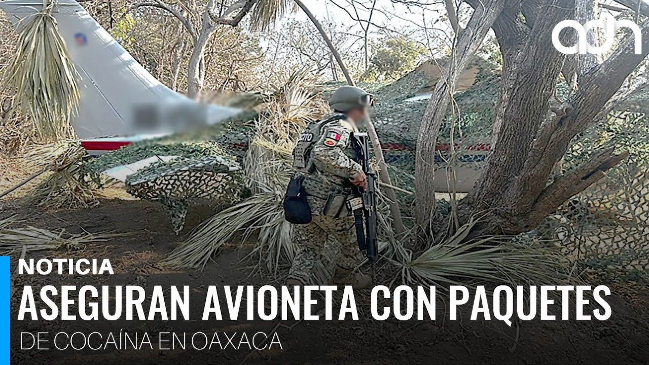 Aseguran una avioneta con más de 500 paquetes de cocaína en Oaxaca