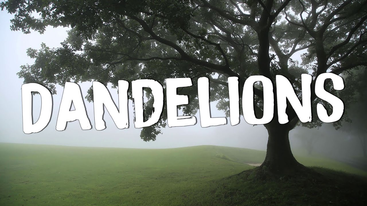 Dandelions - Ruth B. (Lyrics) || Shawn Mendes, Calvin Harris, Dua Lipa... (MixLyrics)